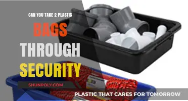 Plastic Bags at Airport Security: How Many Can You Take?