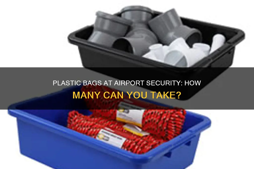 can you take 2 plastic bags through security