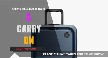 Plastic Bags as Carry-On: What's Allowed?