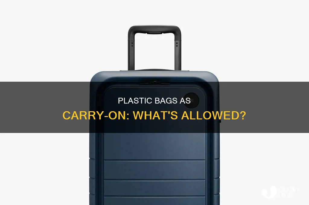 can you take a plastic bag as a carry on