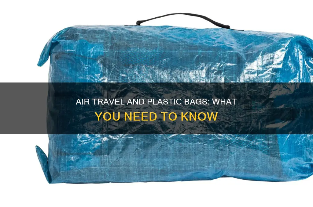 can you take a plastic bag on a plane