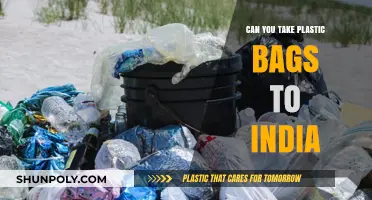 Plastic Bags: What to Know Before Visiting India
