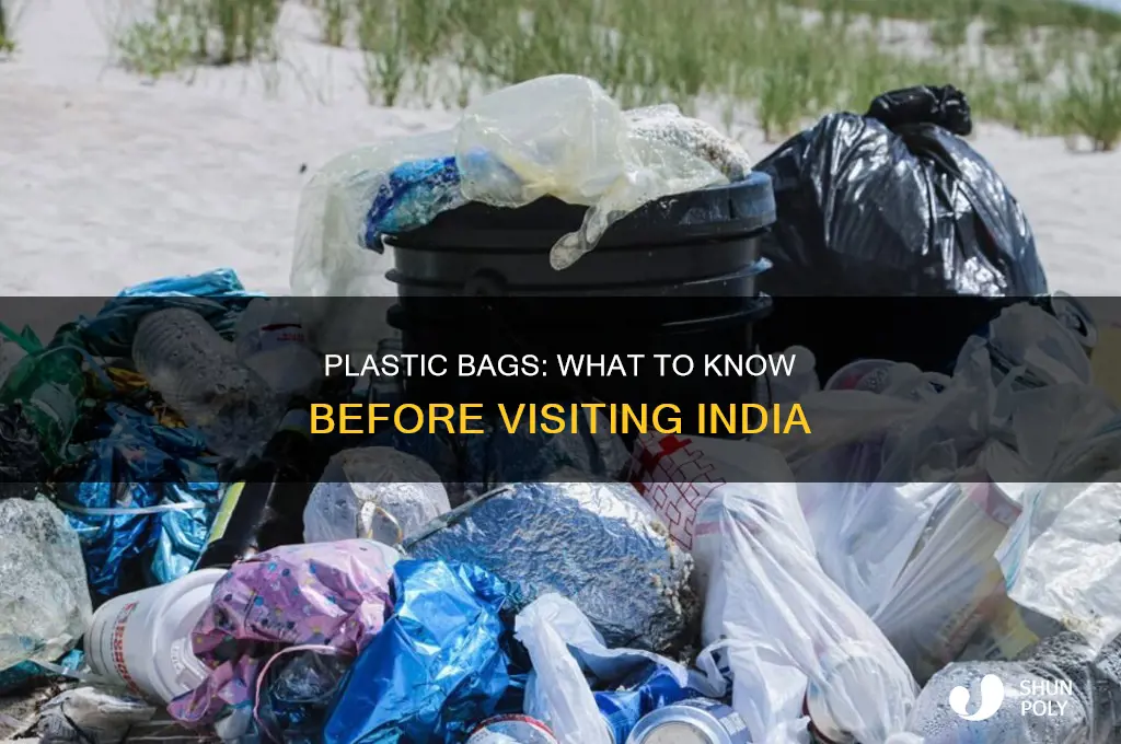 can you take plastic bags to india