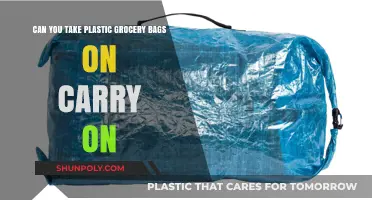 Plastic Bags: Carry-On or Trash?