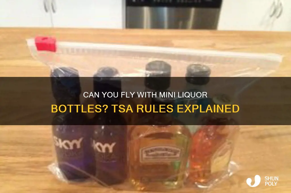 can you take small plastic liquor bottles on an airplane
