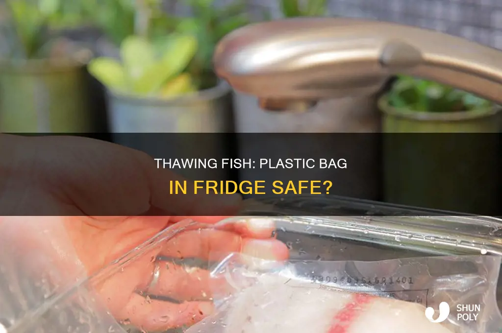 can you thaw fish out in plastic bag in refirg