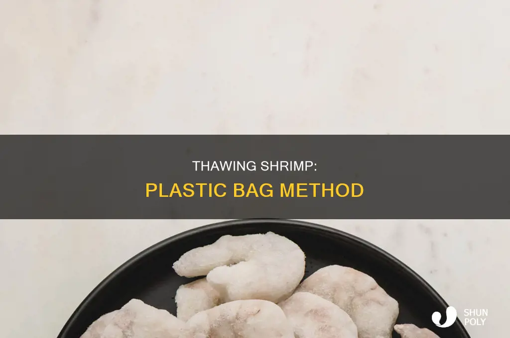 can you thaw frozen shrimp in a plastic bag