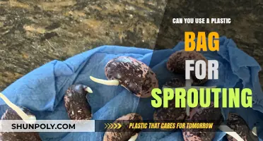 Best Way to Use Plastic Bags for Sprouting