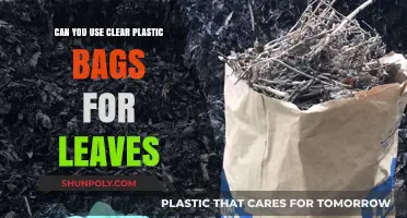Clear Plastic Bags: The Best Way to Store Leaves?