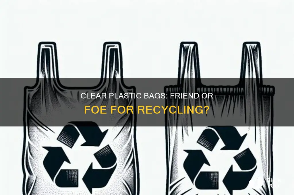 can you use clear plastic bags for recycling