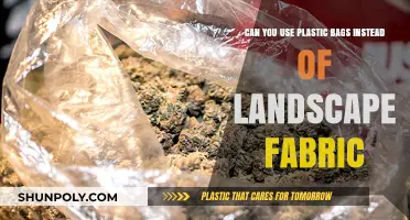Plastic Bags: A Viable Alternative to Landscape Fabric?