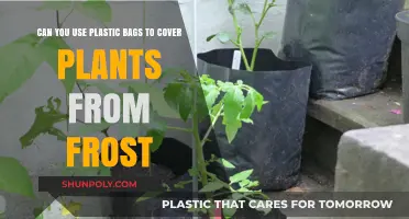 Protecting Plants: Plastic Bags vs Frost
