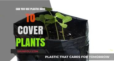 Protecting Plants: Plastic Bag Method