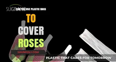 Protecting Roses: Plastic Bag Hack