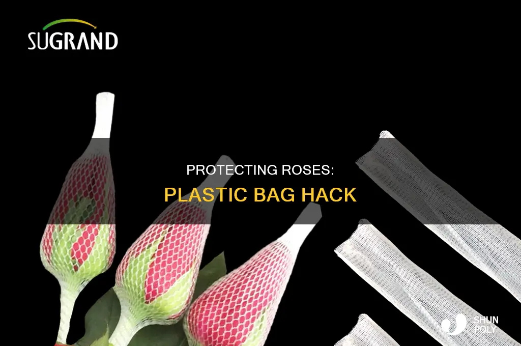 can you use plastic bags to cover roses