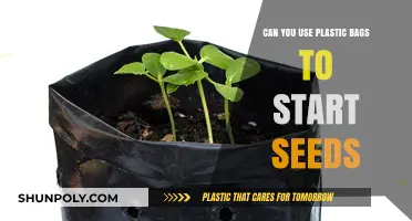 Plastic Bags: Seed-Starting Solution or Environmental Hazard?
