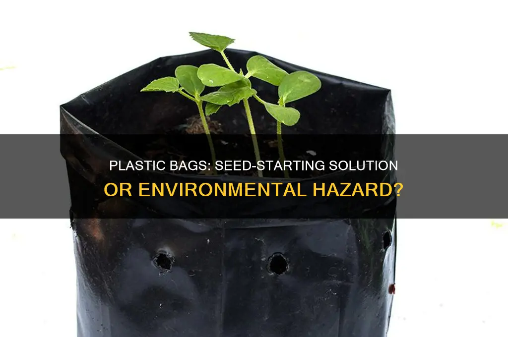 can you use plastic bags to start seeds