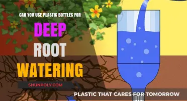Deep Root Watering with Plastic Bottles: Eco-Friendly Gardening Tips