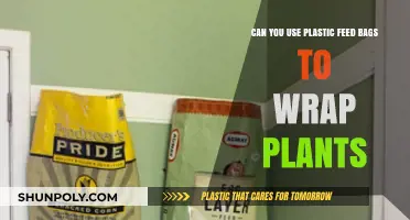 Protecting Plants: Plastic Feed Bags as Wrappers