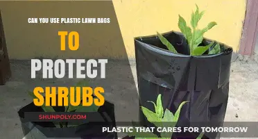 Protecting Shrubs: Plastic Bags, a Good Idea?