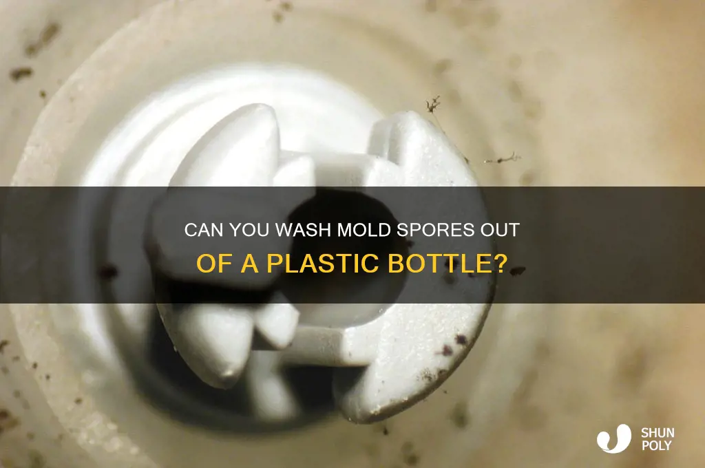 can you wash mold spores out of a plastic bottle