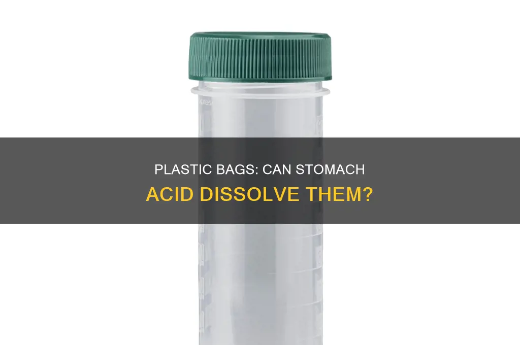 can your stomach acid dissolve a plastic bag