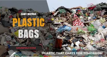 Plastic Bags: Unrecyclable, Unusable, Unwanted