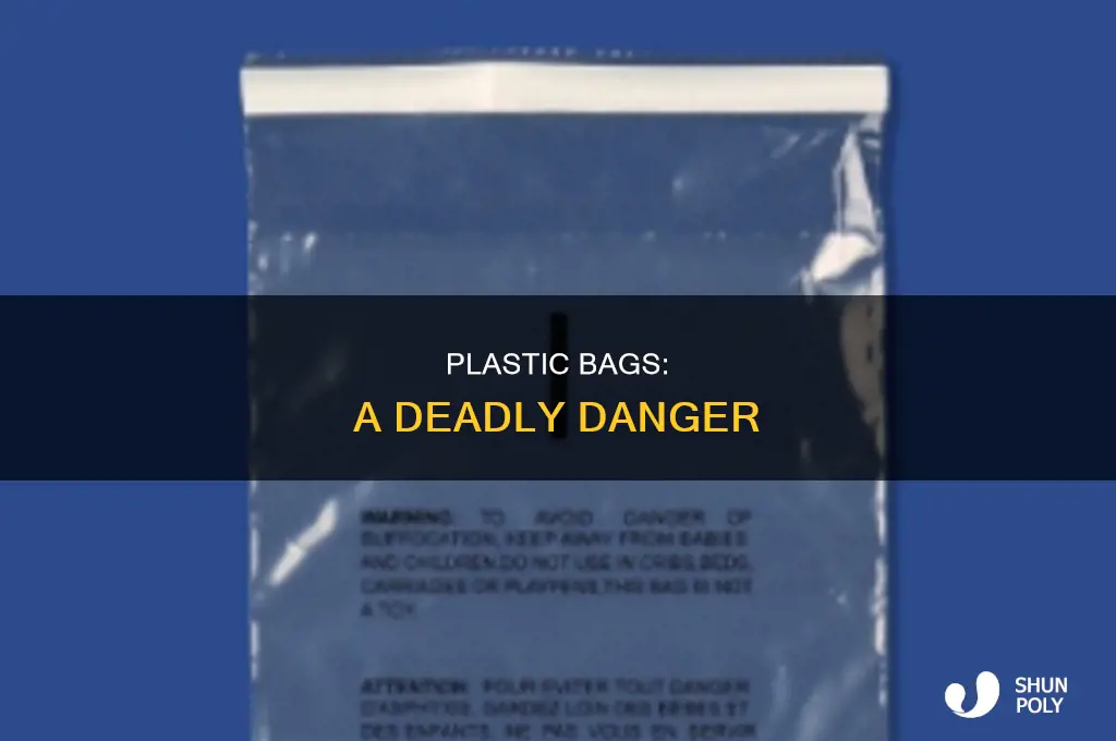 could a plastic bag kill