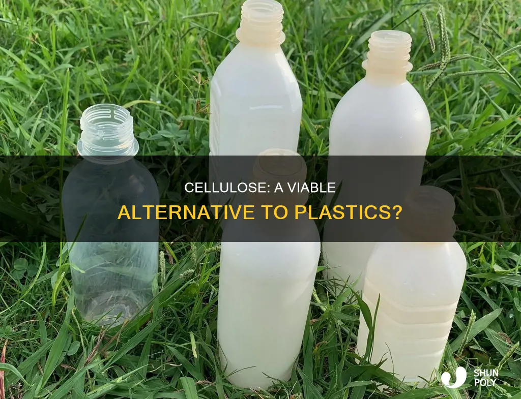 could cellulose be a alternative to plastics