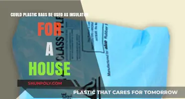Plastic Bags: House Insulation Innovation?