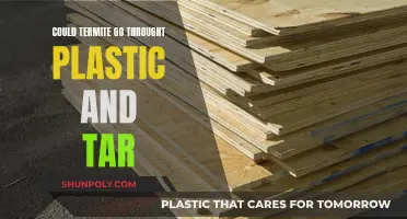 Termite Intrusion: Plastic and Tar Barriers