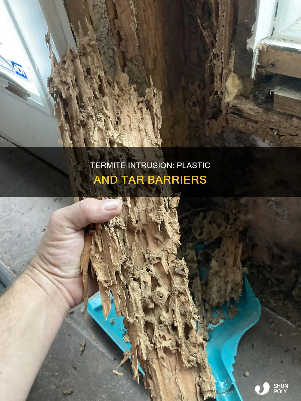 could termite go throught plastic and tar
