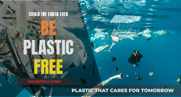 The Earth's Plastic-Free Future: Is It Possible?