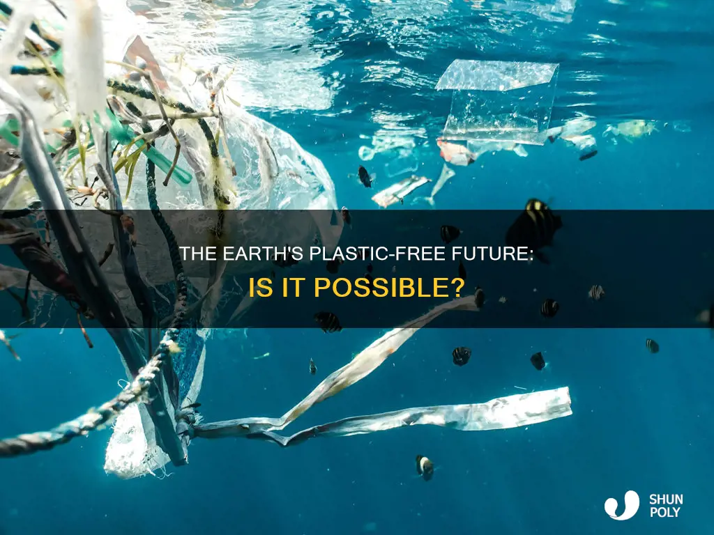 could the earth ever be plastic free