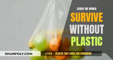 Plastic's End: Can We Survive Without It?