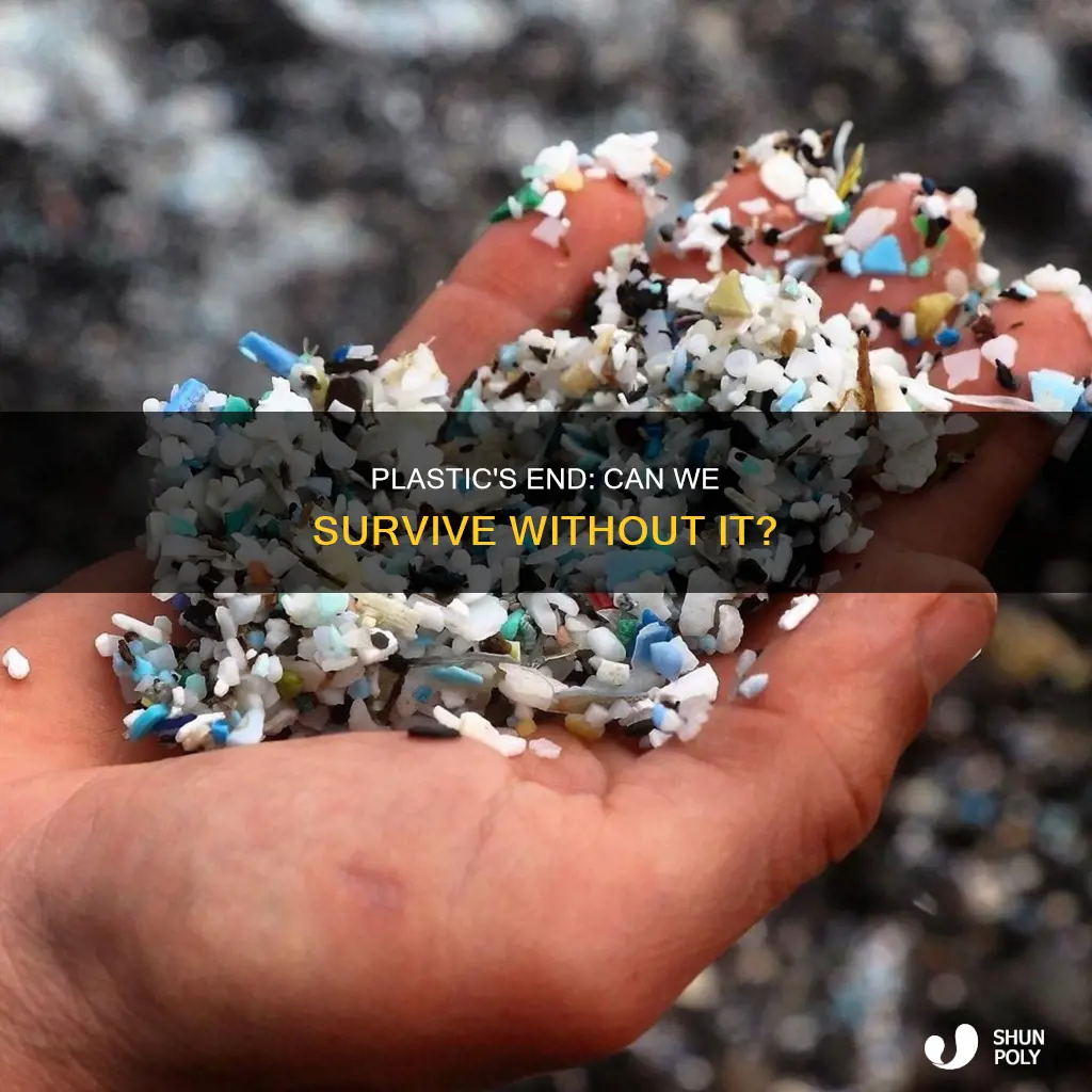 could the world survive without plastic