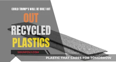 Building Trump's Wall: A Green Revolution with Recycled Plastics