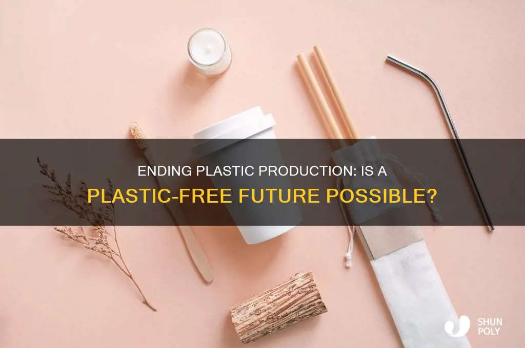 could we end plastic production entirely
