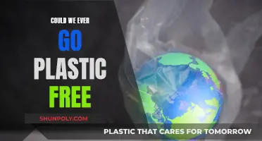 The World Without Plastic: Is It Possible?