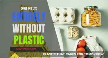 Plastic-Free Living: Is It Possible?