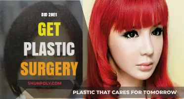 Unveiling the Truth: 2NE1's Plastic Surgery Speculations Explored