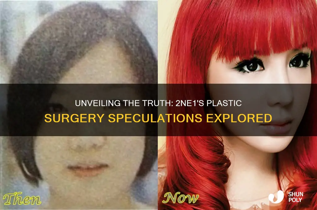 did 2ne1 get plastic surgery
