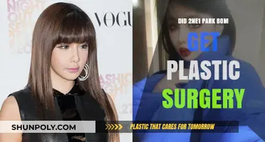 Park Bom's Transformation: Unveiling the Truth About Plastic Surgery
