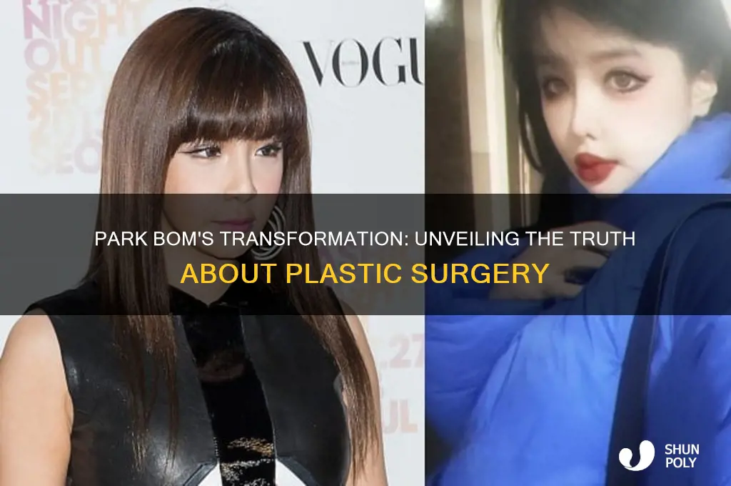 did 2ne1 park bom get plastic surgery