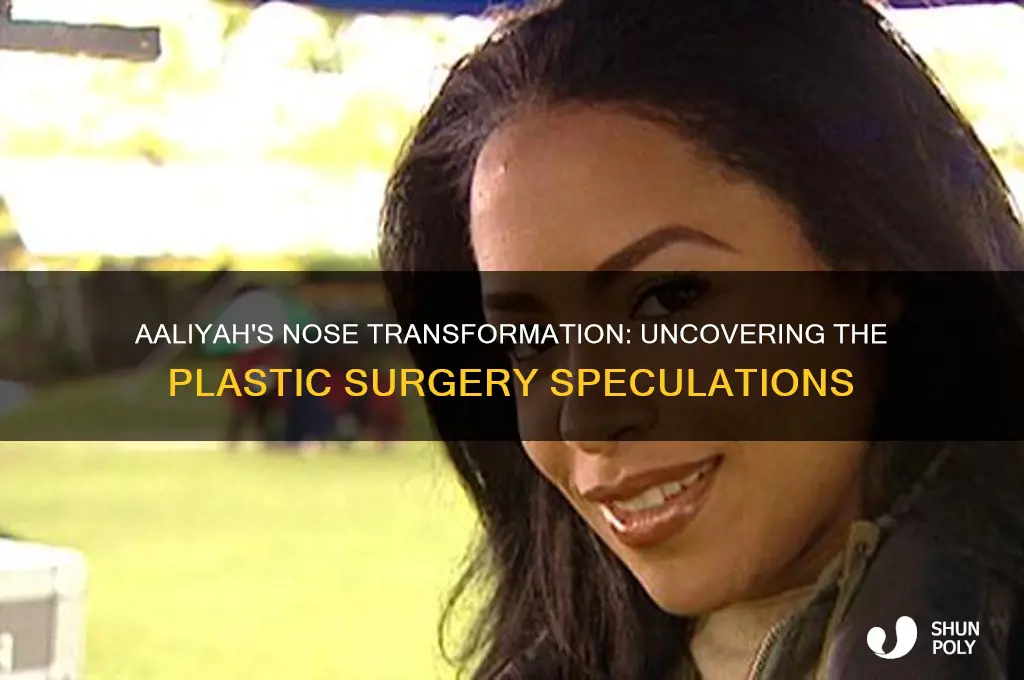 did aaliyah have plastic surgery on her nose