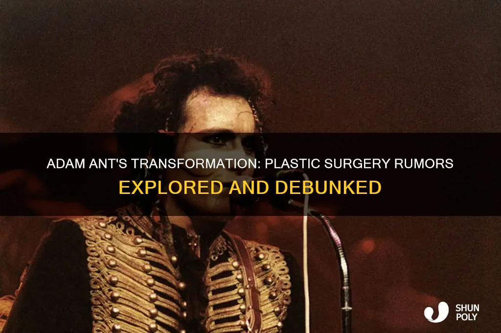 did adam ant have plastic surgery