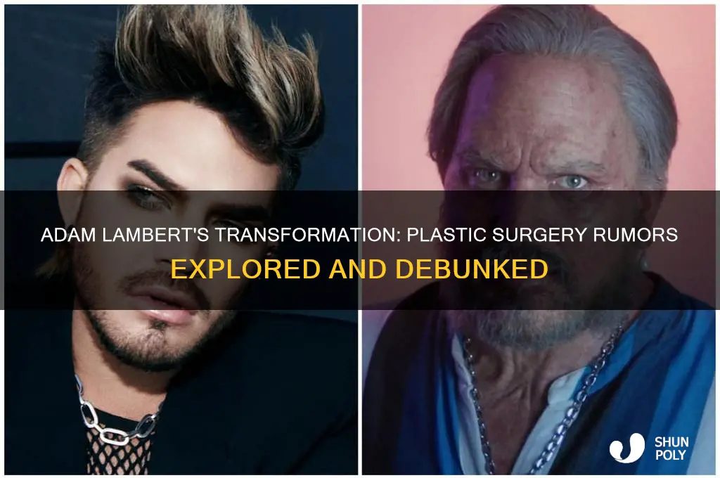 did adam lambert have plastic surgery
