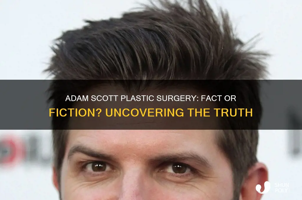 did adam scott get plastic surgery
