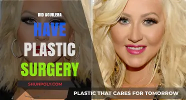 Christina Aguilera's Transformation: Plastic Surgery Rumors Explored