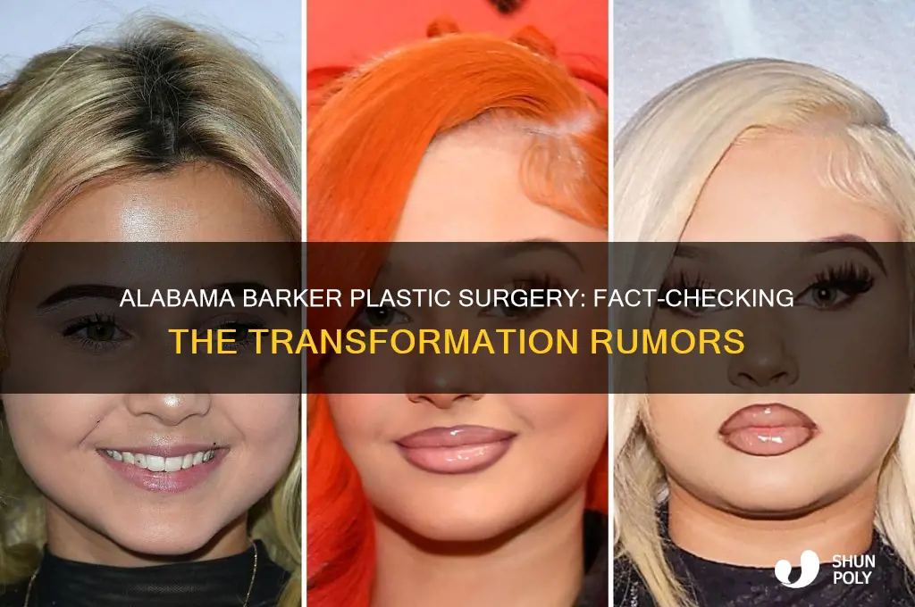 did alabama barker get plastic surgery